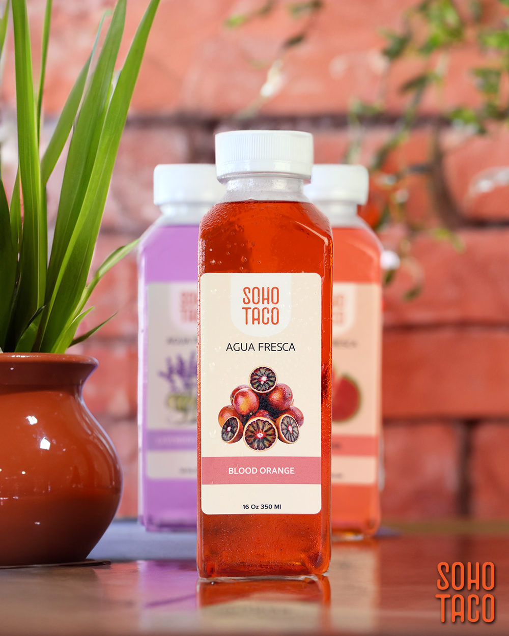 Introducing SOHO TACO’s 16 oz Bottled Aguas Frescas for Catering Events