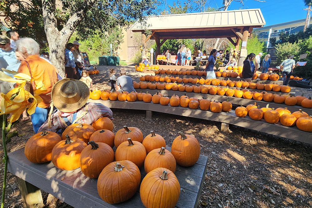 Celebrating the 48th Annual Fall Faire at the Environmental Nature Center